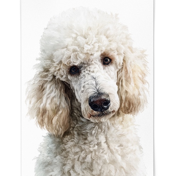 Watercolor Standard White Poodle Wall Art Print Unframed - Elegant Canine Poster - Picture 2 of 7